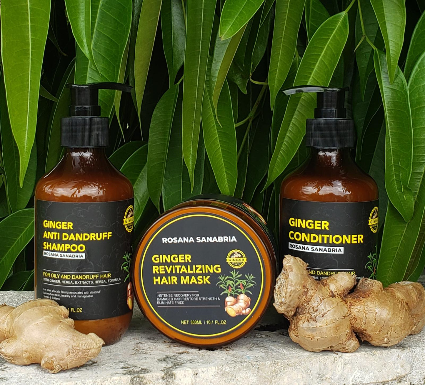 Ginger Hair Care Kit
