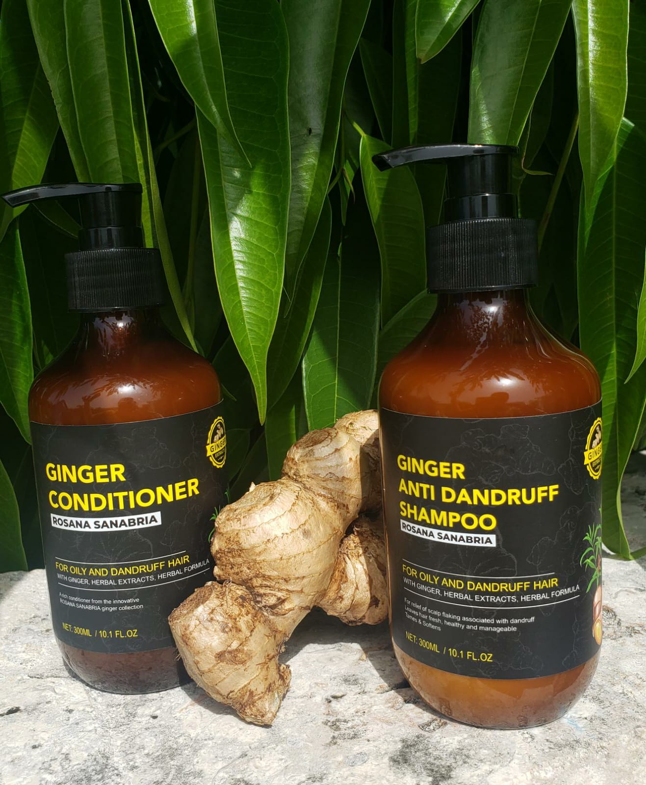 Ginger Shampoo & Conditioner